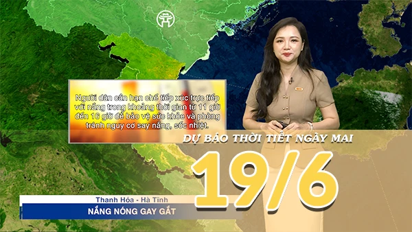 19